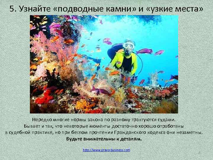 5. Узнайте «подводные камни» и «узкие места» Нередко многие нормы закона по разному трактуются