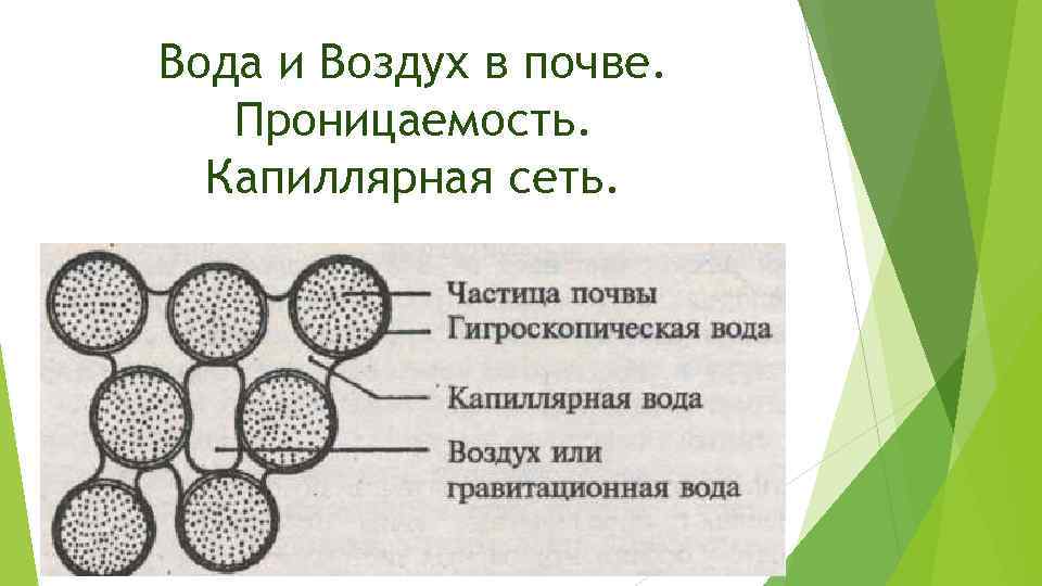 Вода и Воздух в почве. Проницаемость. Капиллярная сеть. 