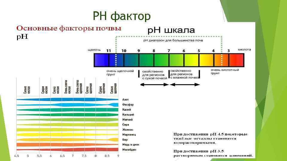 РН фактор 