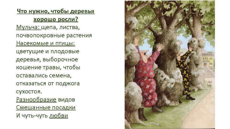 Что нужно, чтобы деревья хорошо росли? Мульча: щепа, листва, почвопокровные растения Насекомые и птицы: