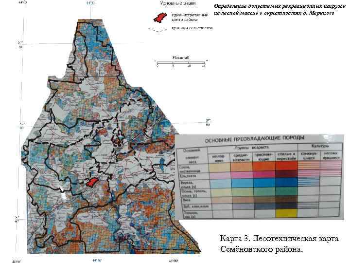 Определение допустимых рекреационных нагрузок на лесной массив в окрестностях д. Мериново Карта 3. Лесотехническая