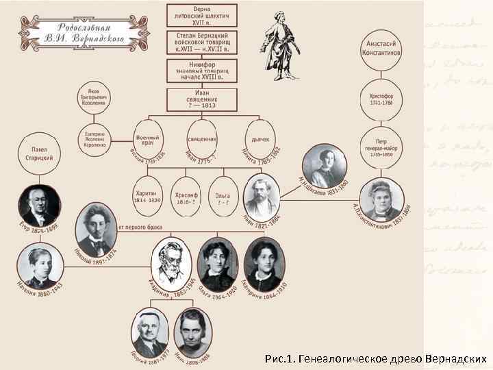 Рис. 1. Генеалогическое древо Вернадских 