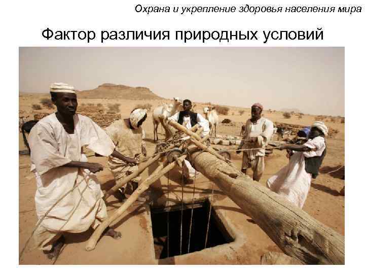 Охрана и укрепление здоровья населения мира Фактор различия природных условий 