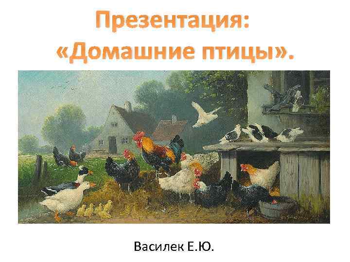 Презентация: «Домашние птицы» . Василек Е. Ю. 