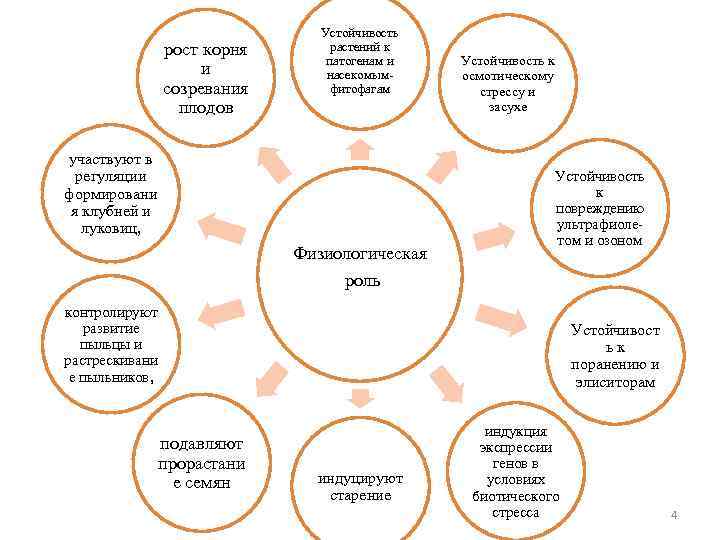 рост корня и созревания плодов Устойчивость растений к патогенам и насекомымфитофагам участвуют в регуляции