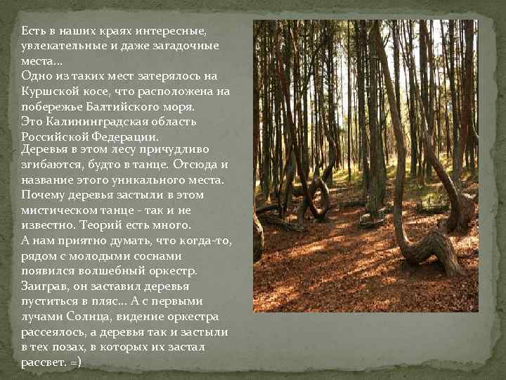 Есть в наших краях интересные, увлекательные и даже загадочные места. . . Одно из