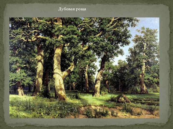 Дубовая роща 