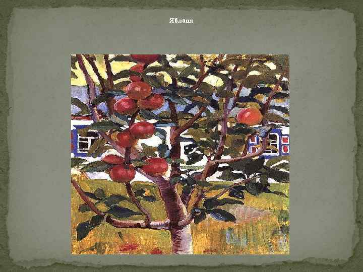 Яблоня 