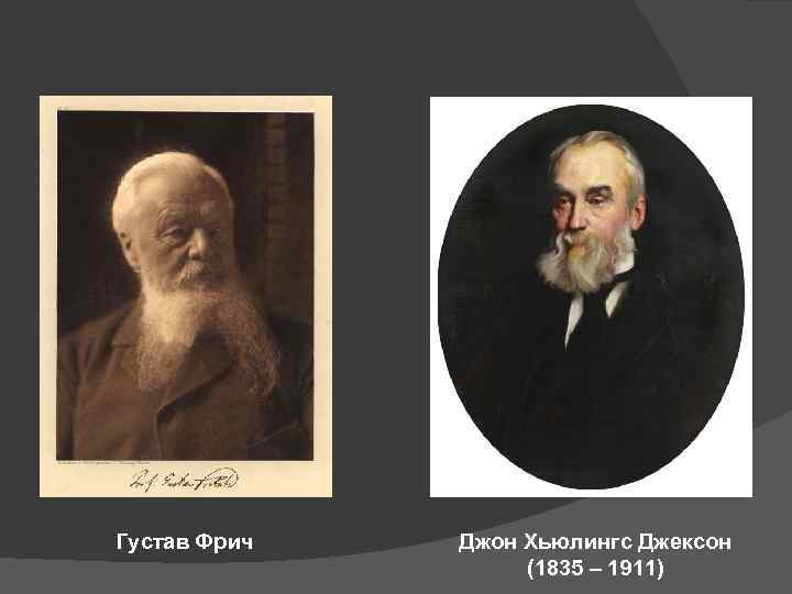 Густав Фрич Джон Хьюлингс Джексон (1835 – 1911) 