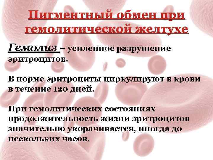 Гемолитическая желтуха фото