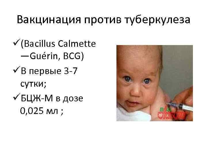 Вакцинация от туберкулеза