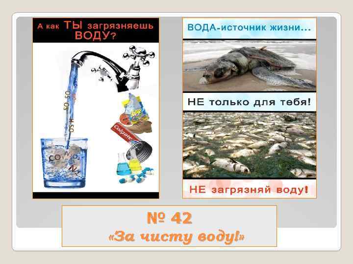 № 42 «За чисту воду!» 