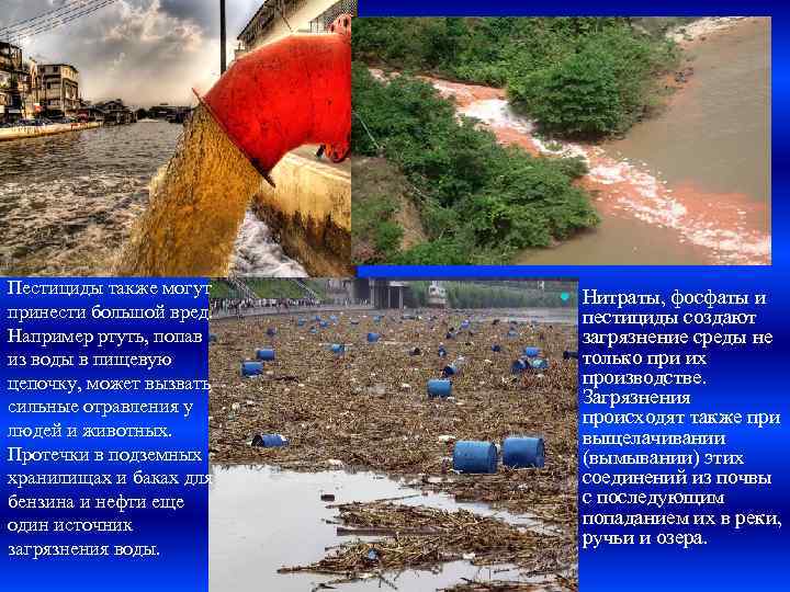 Пестициды также могут принести большой вред. Например ртуть, попав из воды в пищевую цепочку,