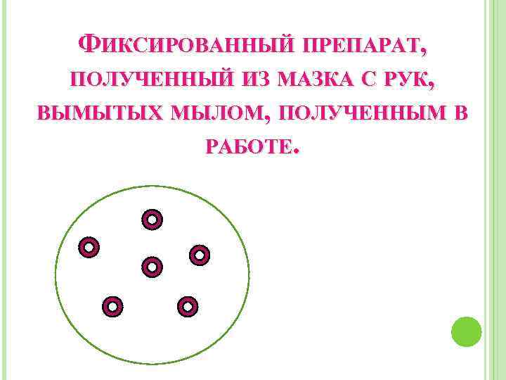 ФИКСИРОВАННЫЙ ПРЕПАРАТ, ПОЛУЧЕННЫЙ ИЗ МАЗКА С РУК, ВЫМЫТЫХ МЫЛОМ, ПОЛУЧЕННЫМ В РАБОТЕ. 