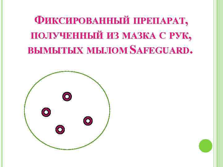 ФИКСИРОВАННЫЙ ПРЕПАРАТ, ПОЛУЧЕННЫЙ ИЗ МАЗКА С РУК, ВЫМЫТЫХ МЫЛОМ SAFEGUARD. 