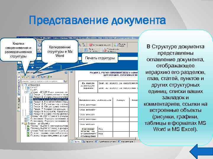 Какой документ представляет собой. Область представления документа. Структурные единицы текстового документа. Виды представления документа. Представление форма документа.