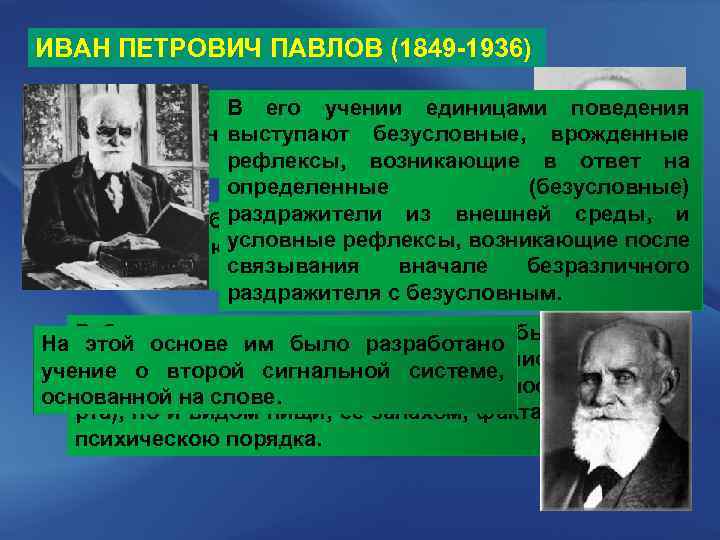 Мнение петровича. Павлов Иван Петрович рефлексы. Павлов Иван Петрович вклад в психологию. Поведение по Павлову. И.П. Павлов единицами поведения рассматривал рефлексы..