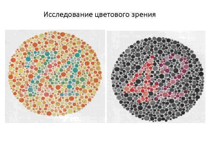 Исследование цветового зрения 
