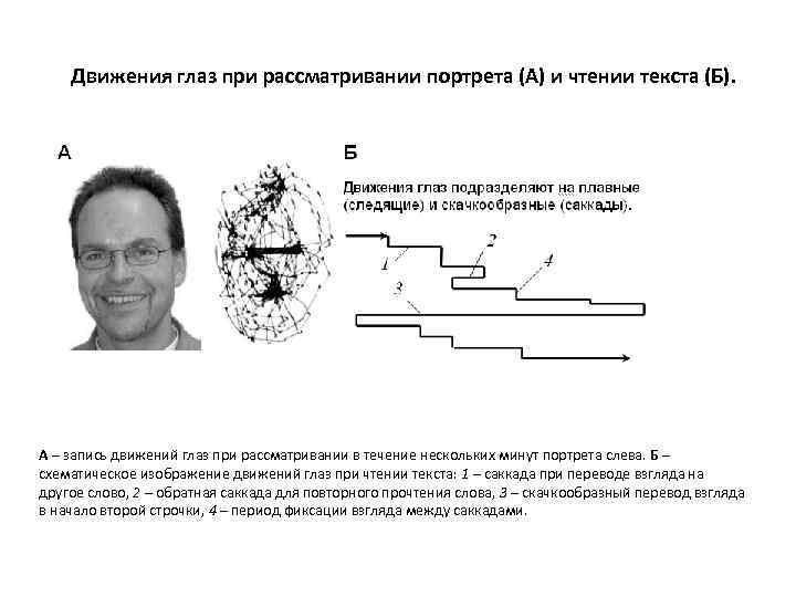 Задача зрителей. Движение глаз при чтении. Следящие движения глаз. Движения глаз физиология. Саккады глаз.