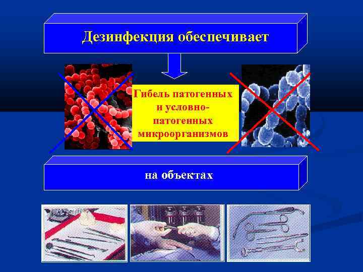 Дезинфекция обеспечивает Гибель патогенных и условнопатогенных микроорганизмов на объектах 