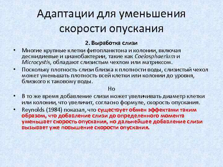 Адаптации для уменьшения скорости опускания • • 2. Выработка слизи Многие крупные клетки фитопланктона