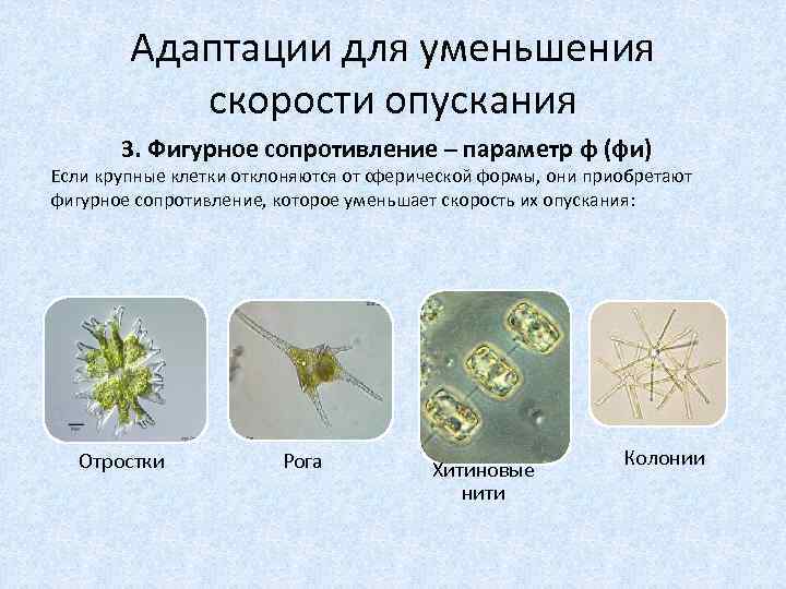 Адаптации для уменьшения скорости опускания 3. Фигурное сопротивление – параметр φ (фи) Если крупные