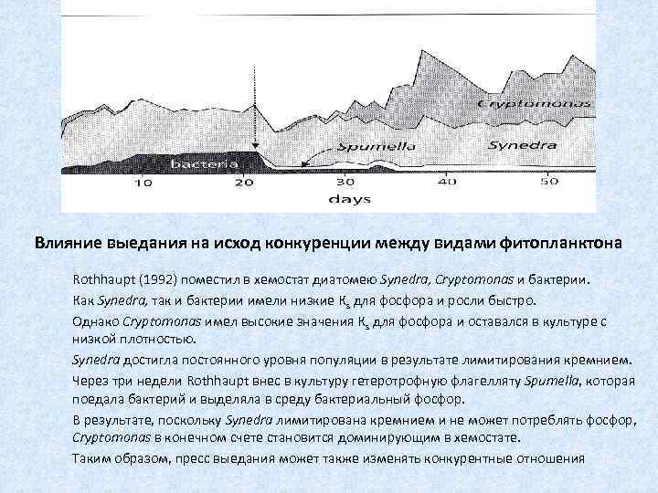 Влияние выедания на исход конкуренции между видами фитопланктона Rothhaupt (1992) поместил в хемостат диатомею