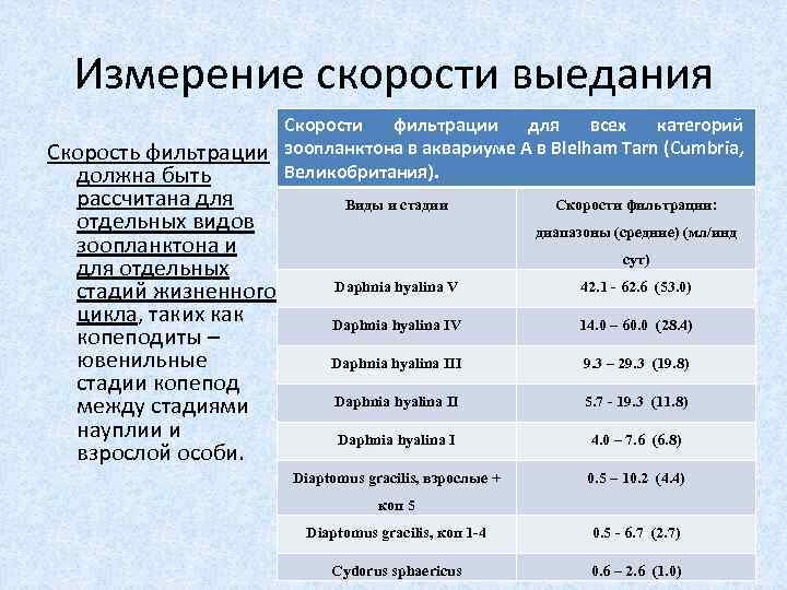 Измерение скорости выедания Скорость фильтрации должна быть рассчитана для отдельных видов зоопланктона и для