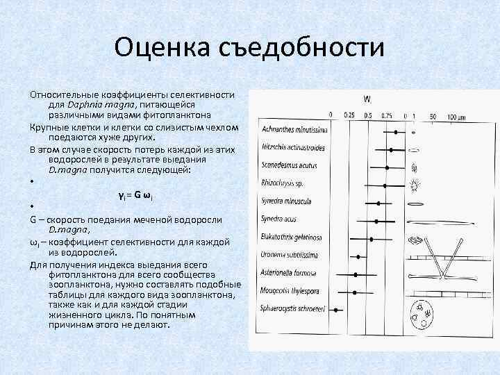 Оценка съедобности Относительные коэффициенты селективности для Daphnia magna, питающейся различными видами фитопланктона Крупные клетки