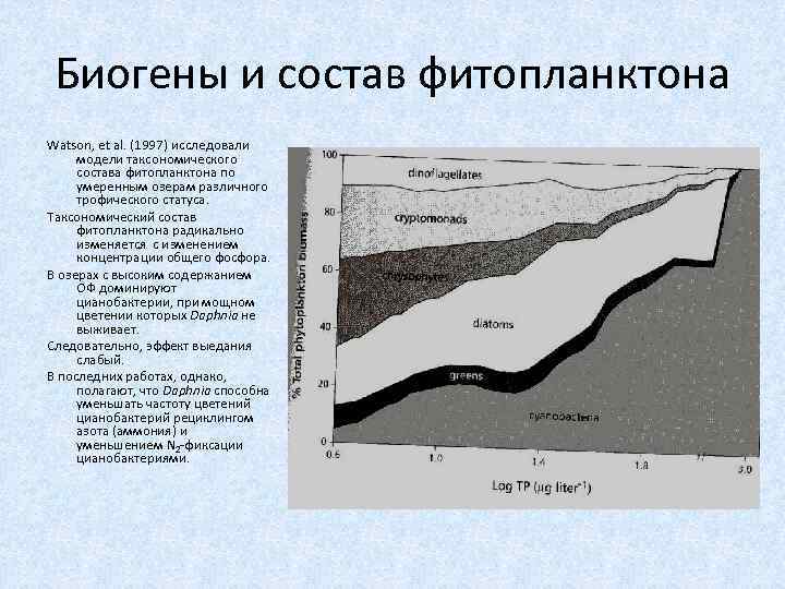 Биогены и состав фитопланктона Watson, et al. (1997) исследовали модели таксономического состава фитопланктона по