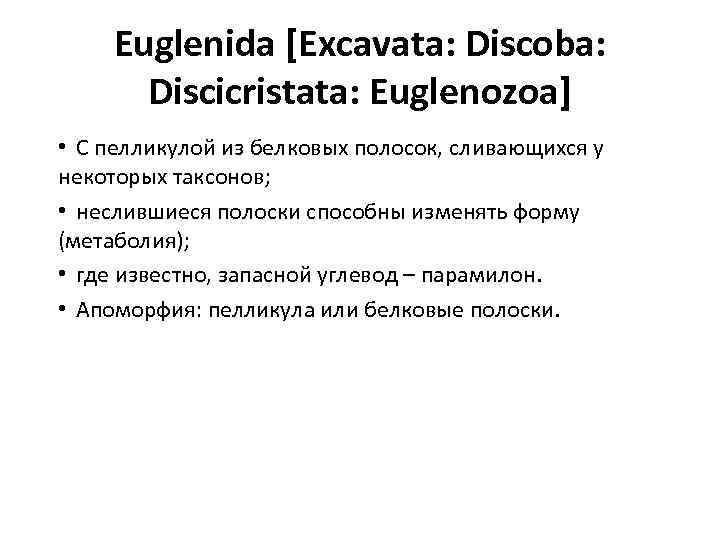 Euglenida [Excavata: Discoba: Discicristata: Euglenozoa] • С пелликулой из белковых полосок, сливающихся у некоторых