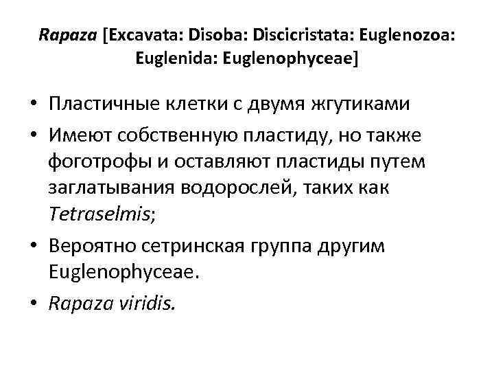 Rapaza [Excavata: Disoba: Discicristata: Euglenozoa: Euglenida: Euglenophyceae] • Пластичные клетки с двумя жгутиками •