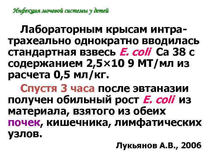 Инфекция мочевой системы у детей Лабораторным крысам интратрахеально однократно вводилась стандартная взвесь E. coli