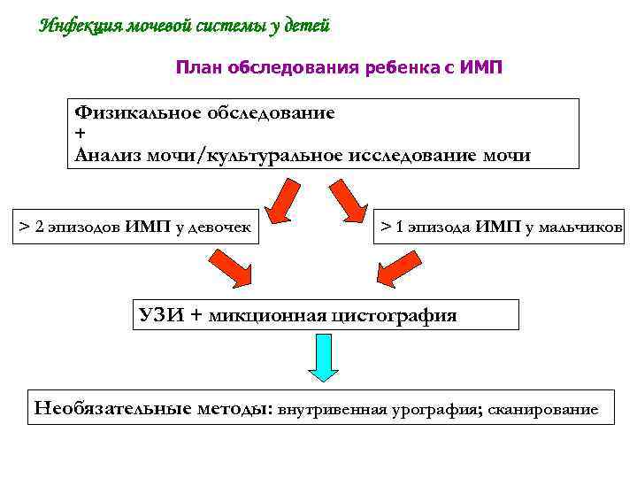 Инфекция мочевой системы у детей План обследования ребенка с ИМП Физикальное обследование + Анализ