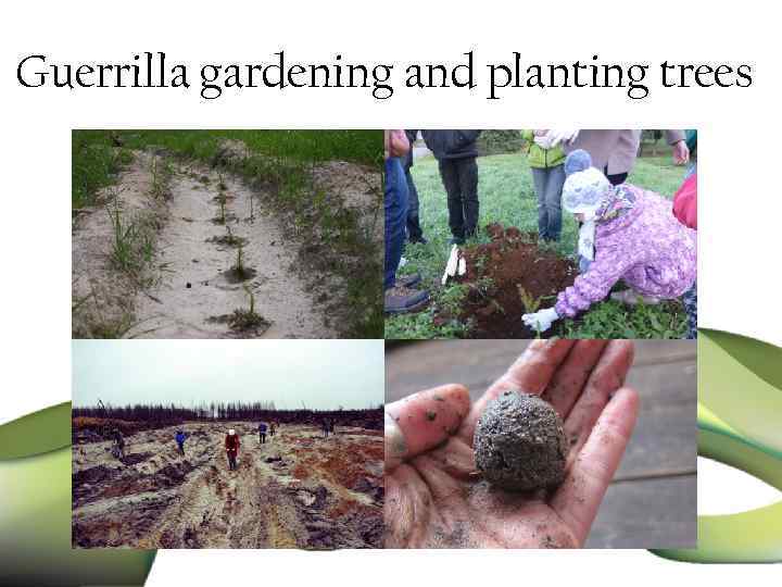 Guerrilla gardening and planting trees 