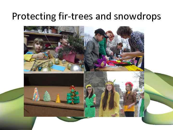 Protecting fir-trees and snowdrops 