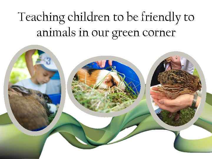 Teaching children to be friendly to animals in our green corner 