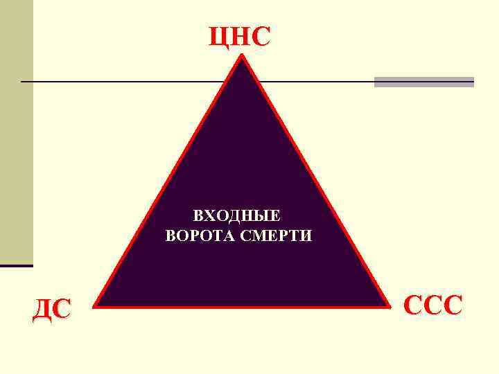 ЦНС ВХОДНЫЕ ВОРОТА СМЕРТИ ДС ССС 