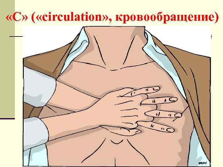  «С» ( «circulation» , кровообращение) 