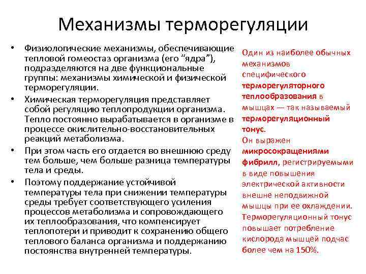 Механизмы терморегуляции • Физиологические механизмы, обеспечивающие Один из наиболее обычных тепловой гомеостаз организма (его