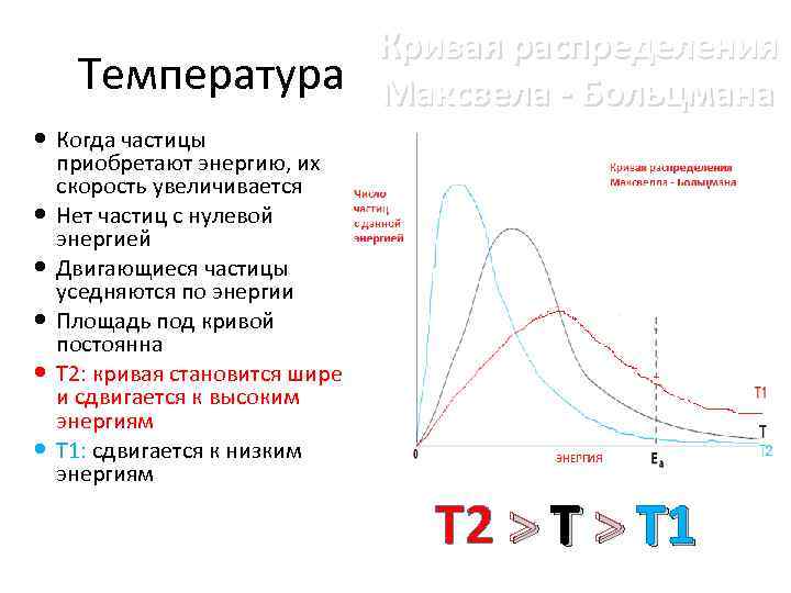 Температура Кривая распределения Максвела - Больцмана Когда частицы приобретают энергию, их скорость увеличивается Нет