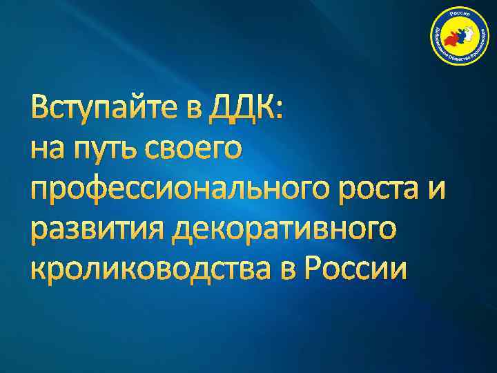 Вступайте в ДДК: на путь своего профессионального роста и развития декоративного кролиководства в России