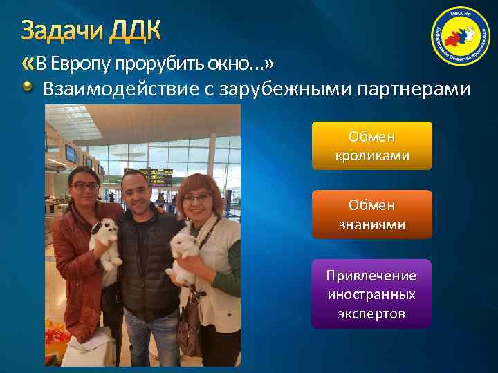 Задачи ДДК «В Европу прорубить окно…» Взаимодействие с зарубежными партнерами Обмен кроликами Обмен знаниями