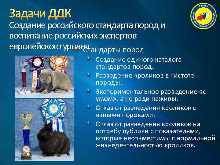 Задачи ДДК Создание российского стандарта пород и воспитание российских экспертов европейского уровня Стандарты пород