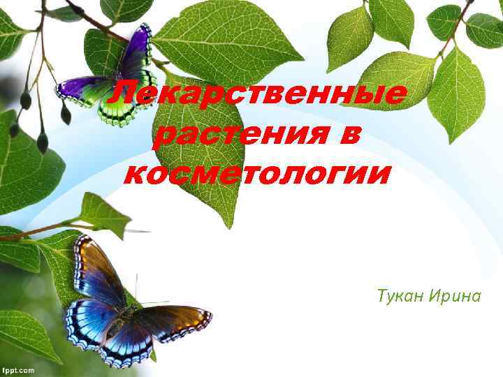 Лекарственные растения в косметологии Тукан Ирина 