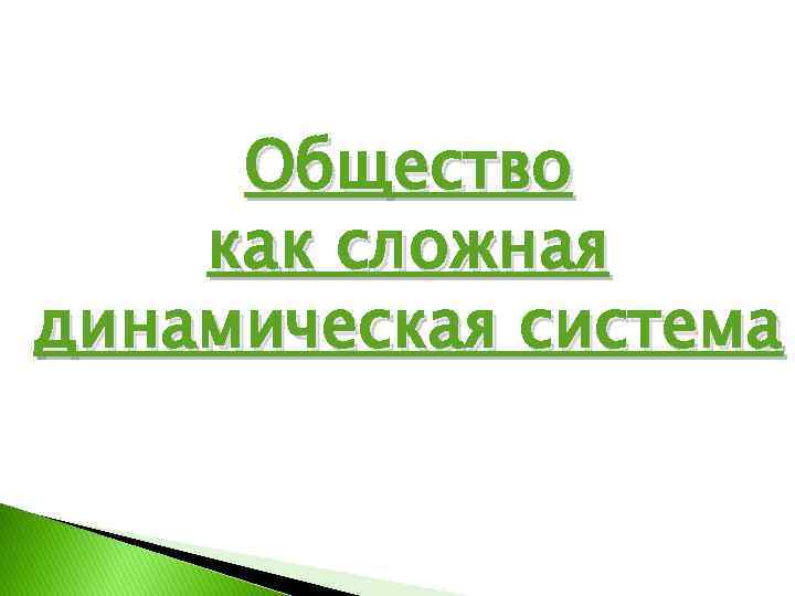 Общество как сложная динамическая система 