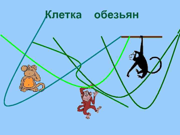 Клетка обезьян 