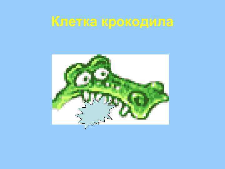 Клетка крокодила 