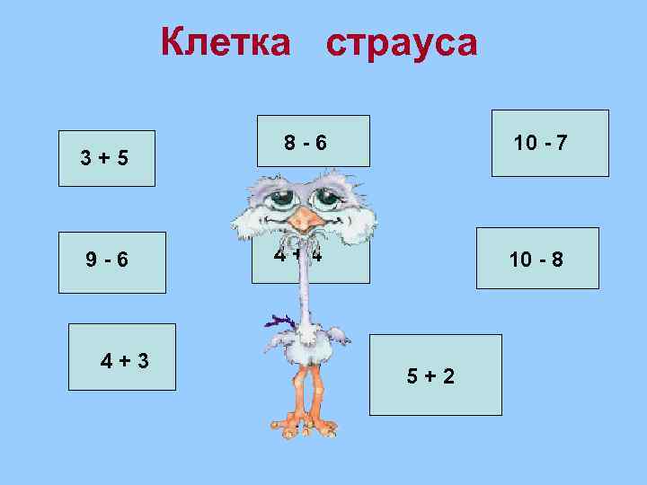 Клетка страуса 3+5 9 -6 4+3 8 -6 10 - 7 4+4 10 -