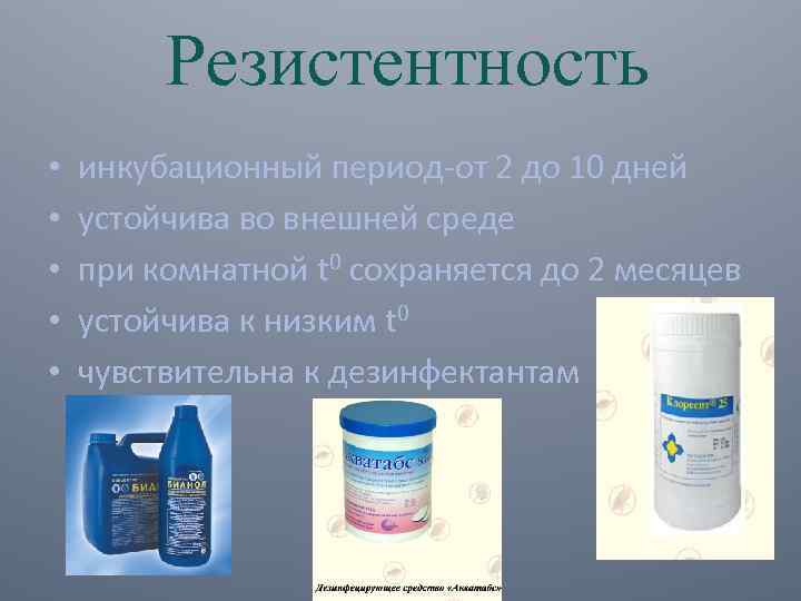 Резистентность • • • инкубационный период-от 2 до 10 дней устойчива во внешней среде